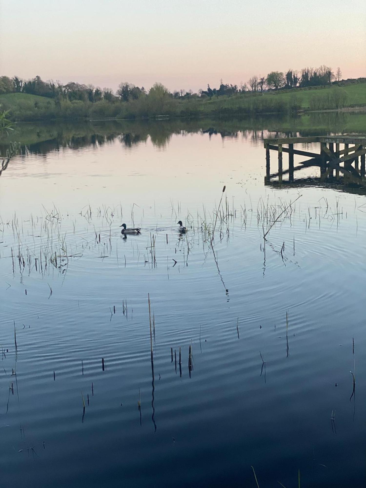 Killyfole Lakeside Lodges Corranny Exteriör bild