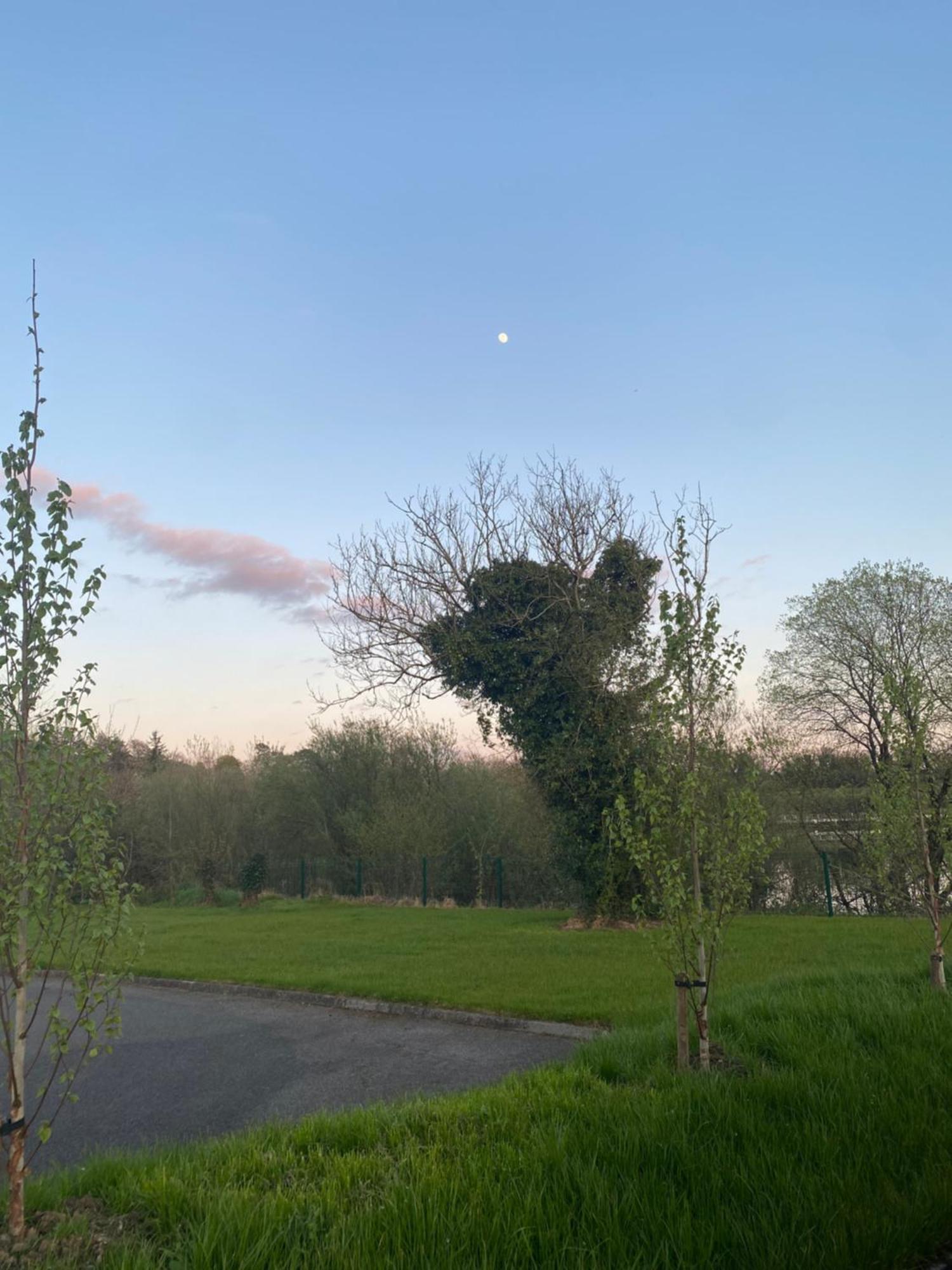 Killyfole Lakeside Lodges Corranny Exteriör bild