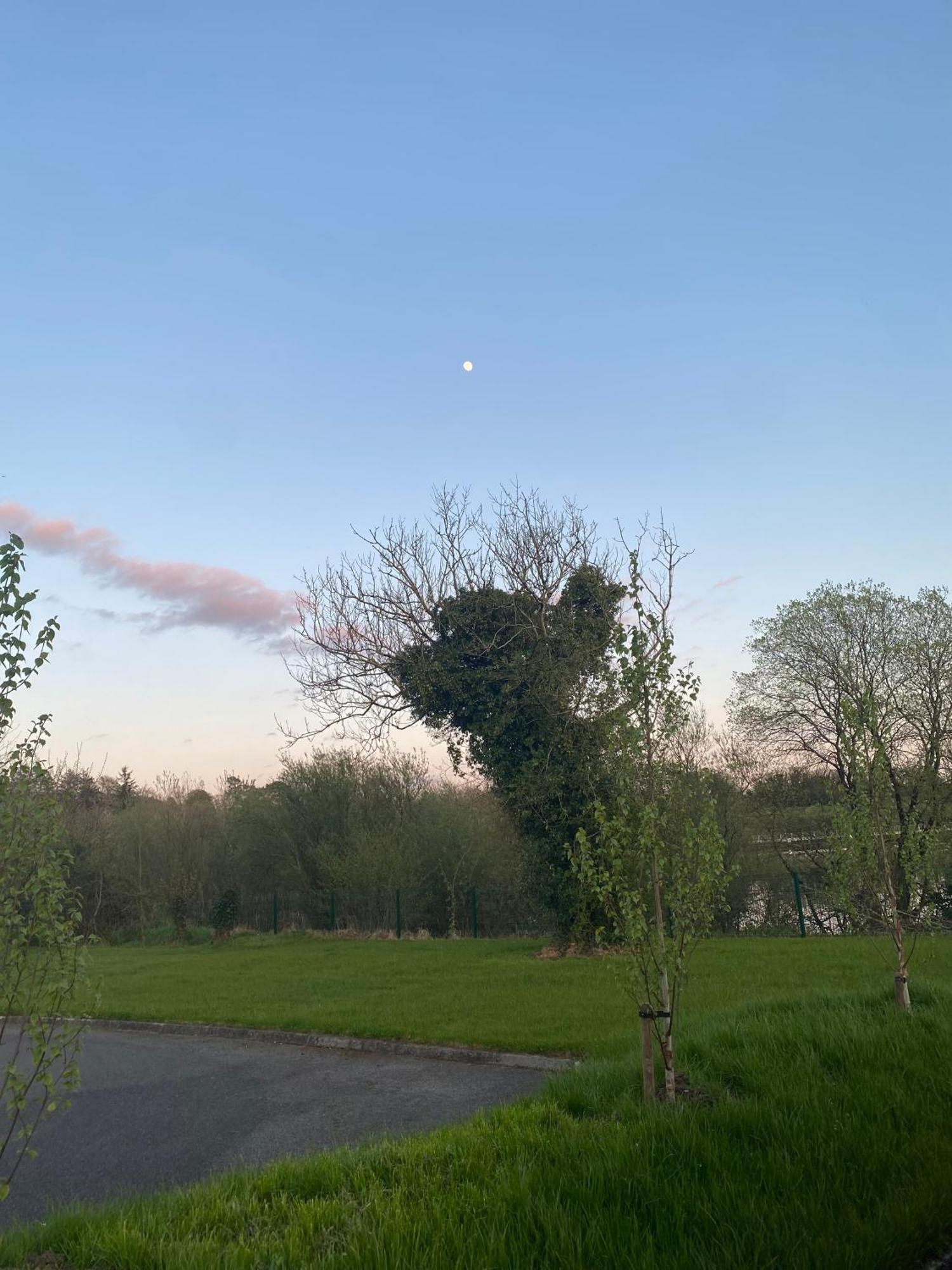 Killyfole Lakeside Lodges Corranny Exteriör bild